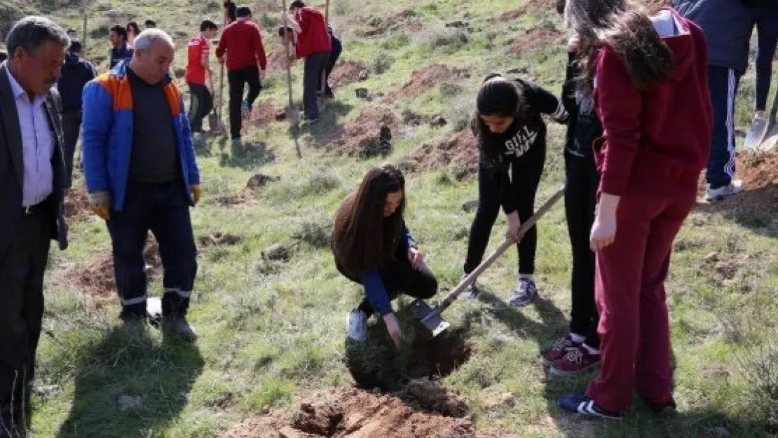 YEŞİLYURT MAHALLESİ'NE ÖĞRENCİLERİN KATILIMI İLE 500 ADET ÇAM FİDANI DİKİLDİ
