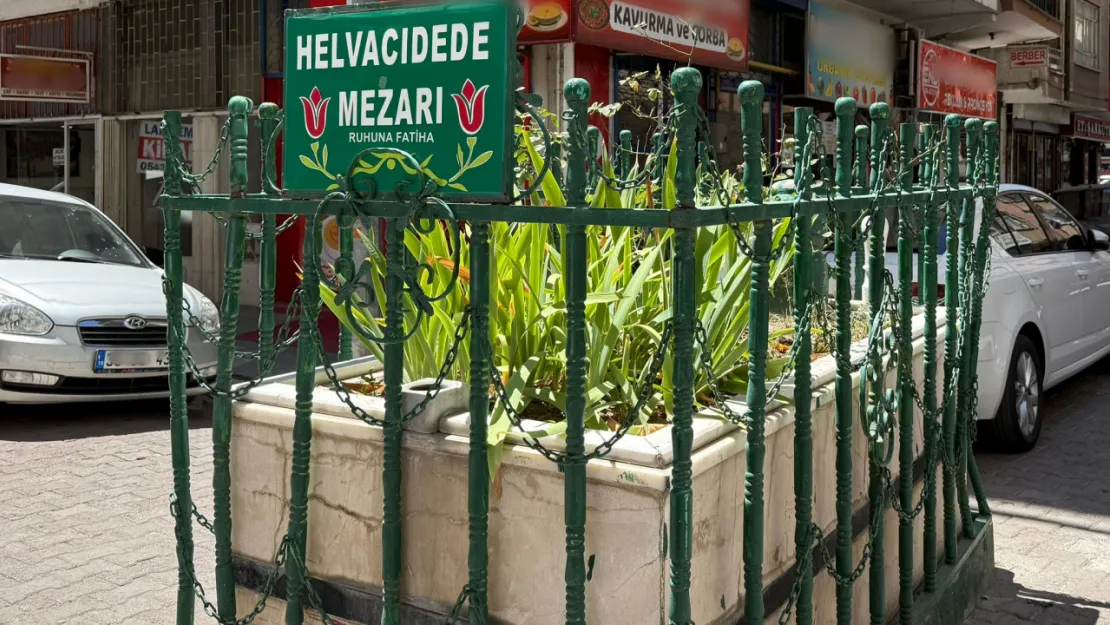 Yol ortasındaki yaklaşık 700 yıllık sır: Helvacı Dede mezarı