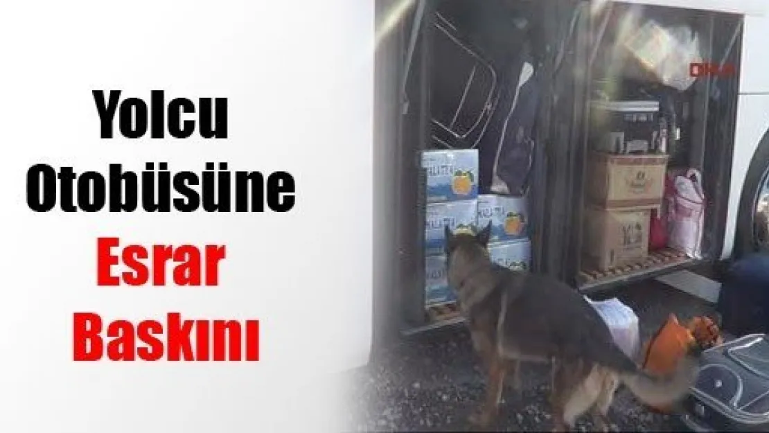 Yolcu Otobüsüne Esrar Baskını