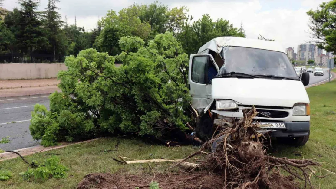 Yoldan çıkan panelvan araç refüjdeki ağaca çarptı: 1'i ağır 2 yaralı