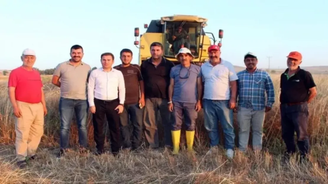 Yozgat-Boğazlıyan' da ekildi, sonuçlara inanamadılar! Hasat yapıldı, verim beklentinin üzerinde...