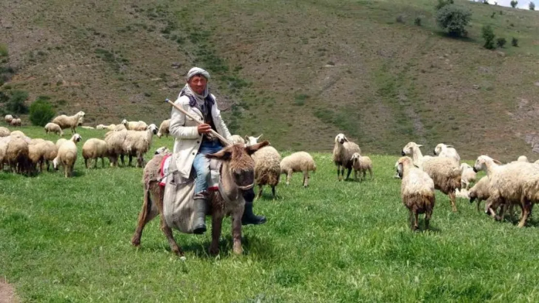 Yozgat'ta 16 bin lira maaşlı iş, Türkler beğenmeyince Afganlara kaldı