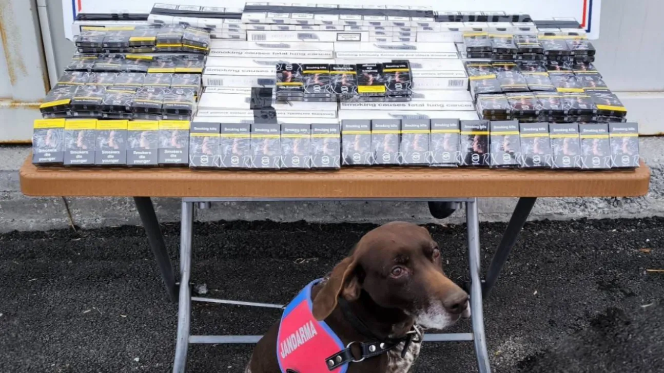 700 paket bandrolsüz kaçak sigara ele geçirildi