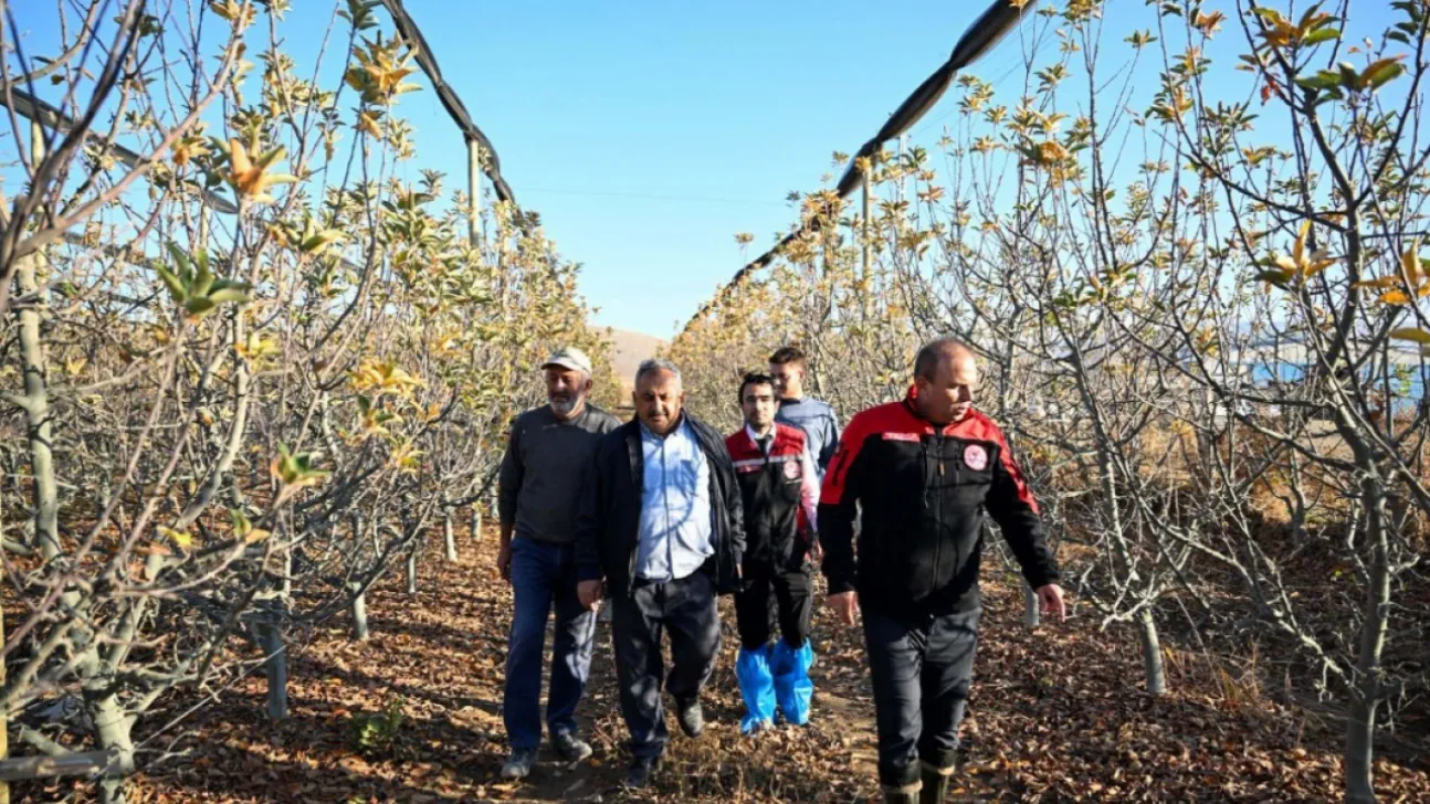 Yahyalı'da 2 milyon TL'lik meyve bahçesi projesine yüzde 50 hibe desteği