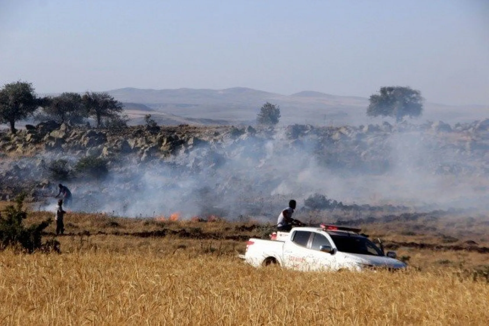 Tarla yangınında çiftçilerin 2 yıllık emeği kül oldu