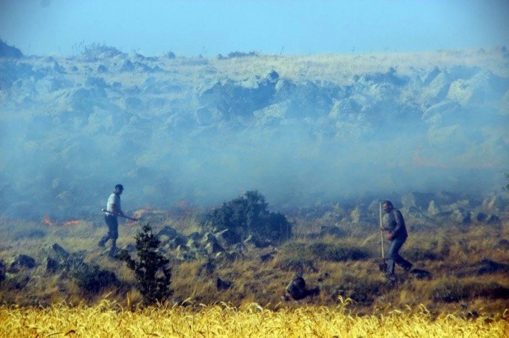 Tarla yangınında çiftçilerin 2 yıllık emeği kül oldu