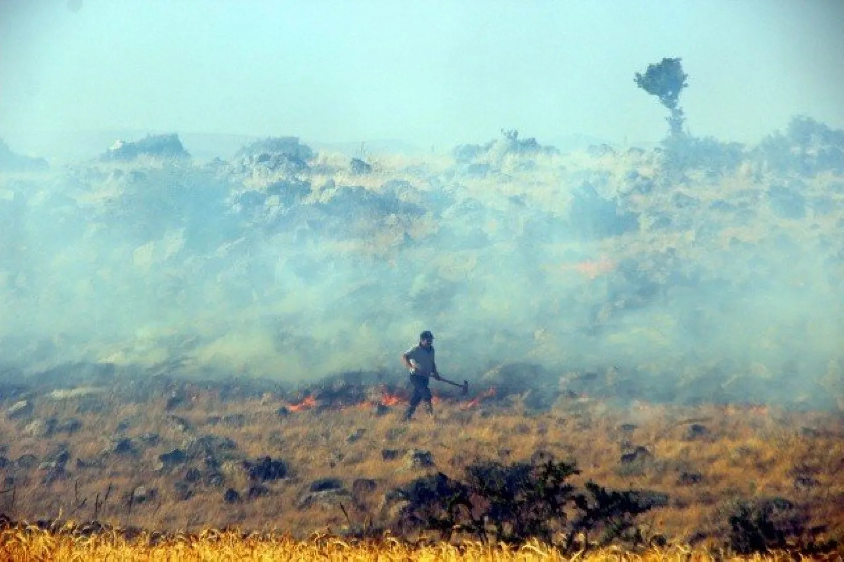 Tarla yangınında çiftçilerin 2 yıllık emeği kül oldu