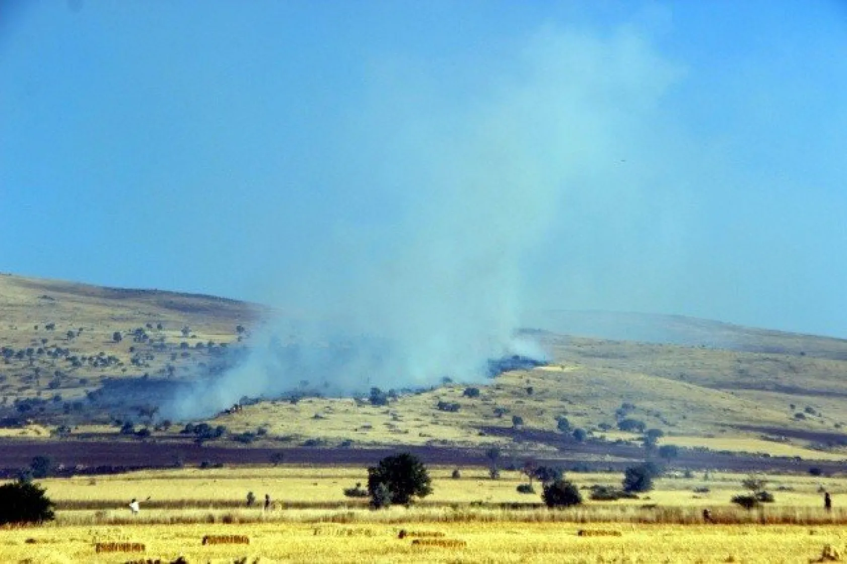 Tarla yangınında çiftçilerin 2 yıllık emeği kül oldu