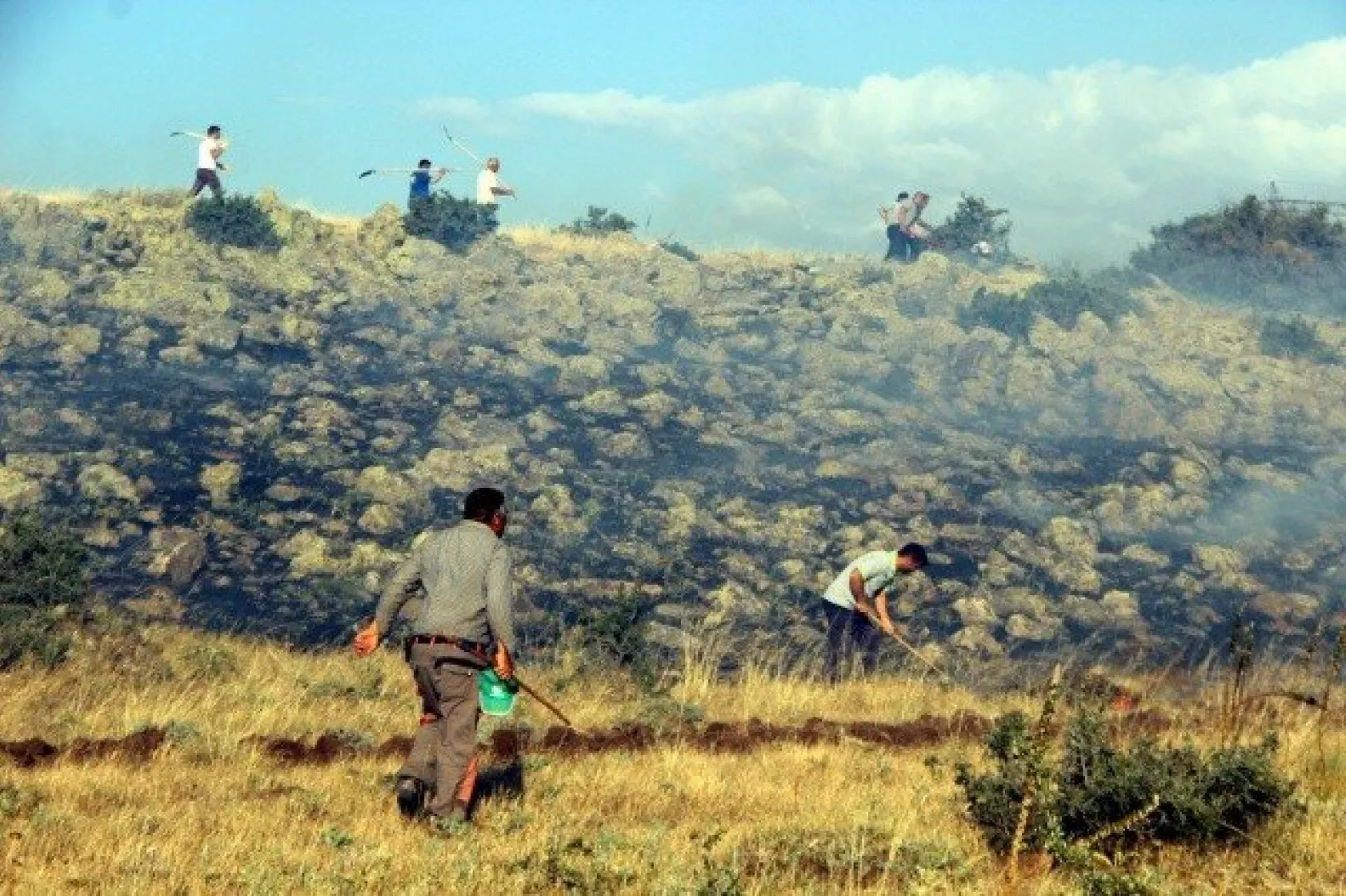 Tarla yangınında çiftçilerin 2 yıllık emeği kül oldu
