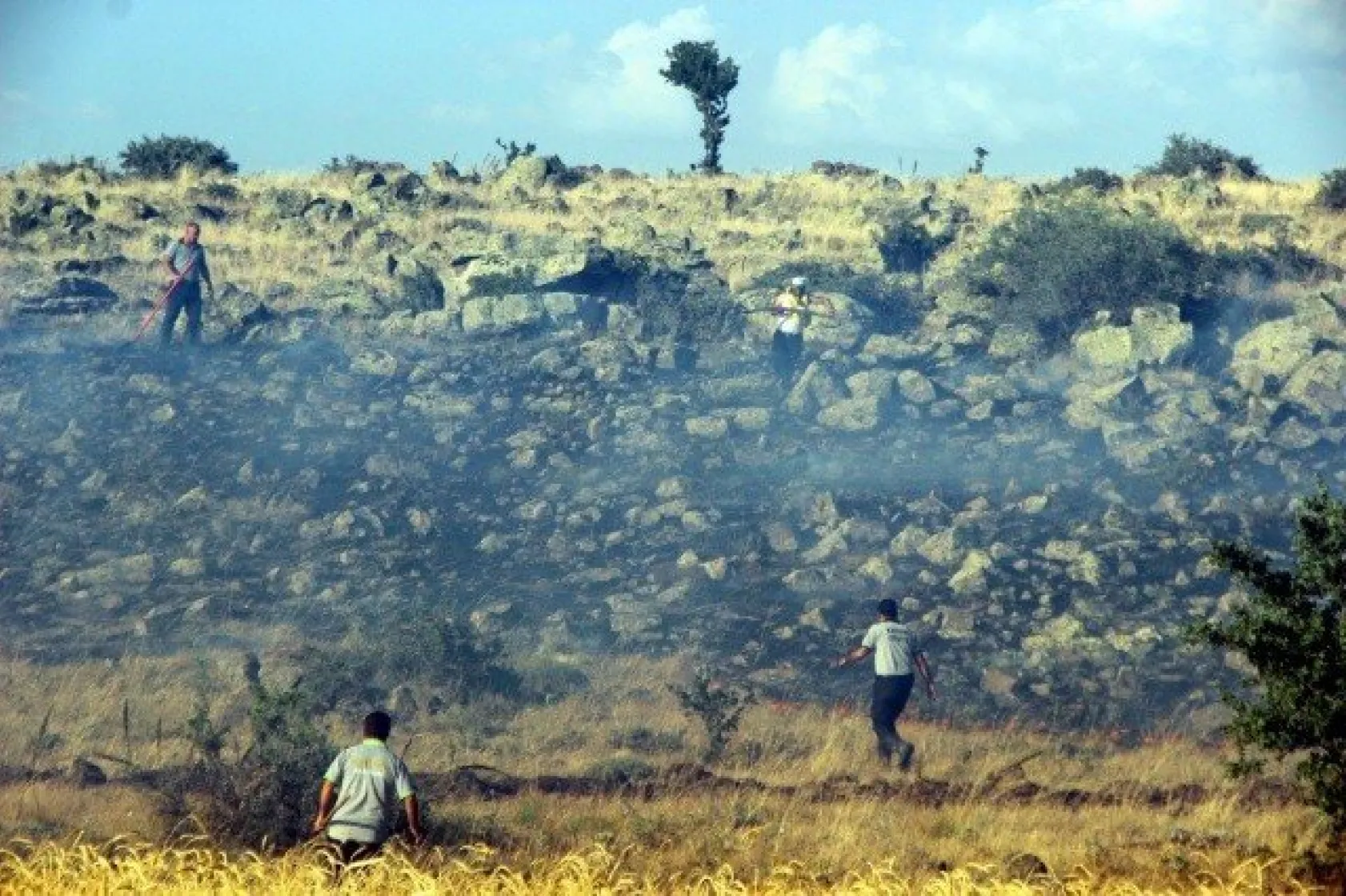 Tarla yangınında çiftçilerin 2 yıllık emeği kül oldu
