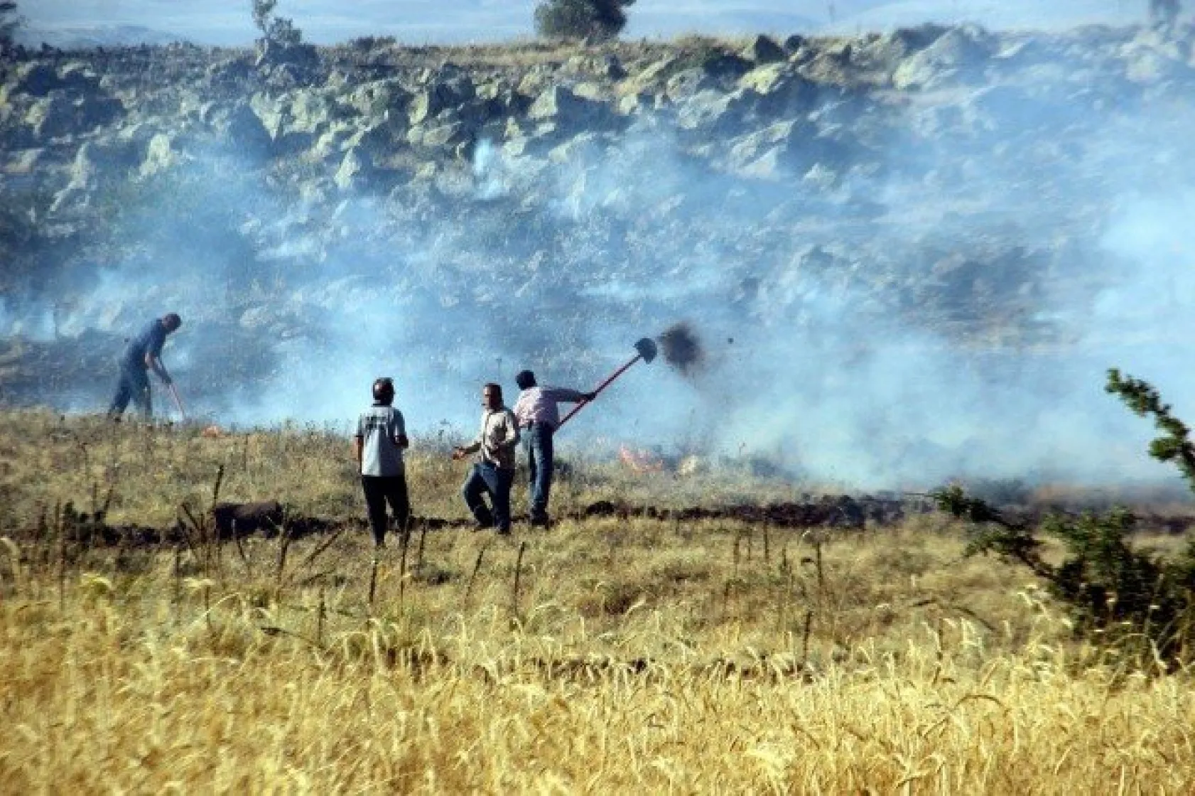Tarla yangınında çiftçilerin 2 yıllık emeği kül oldu