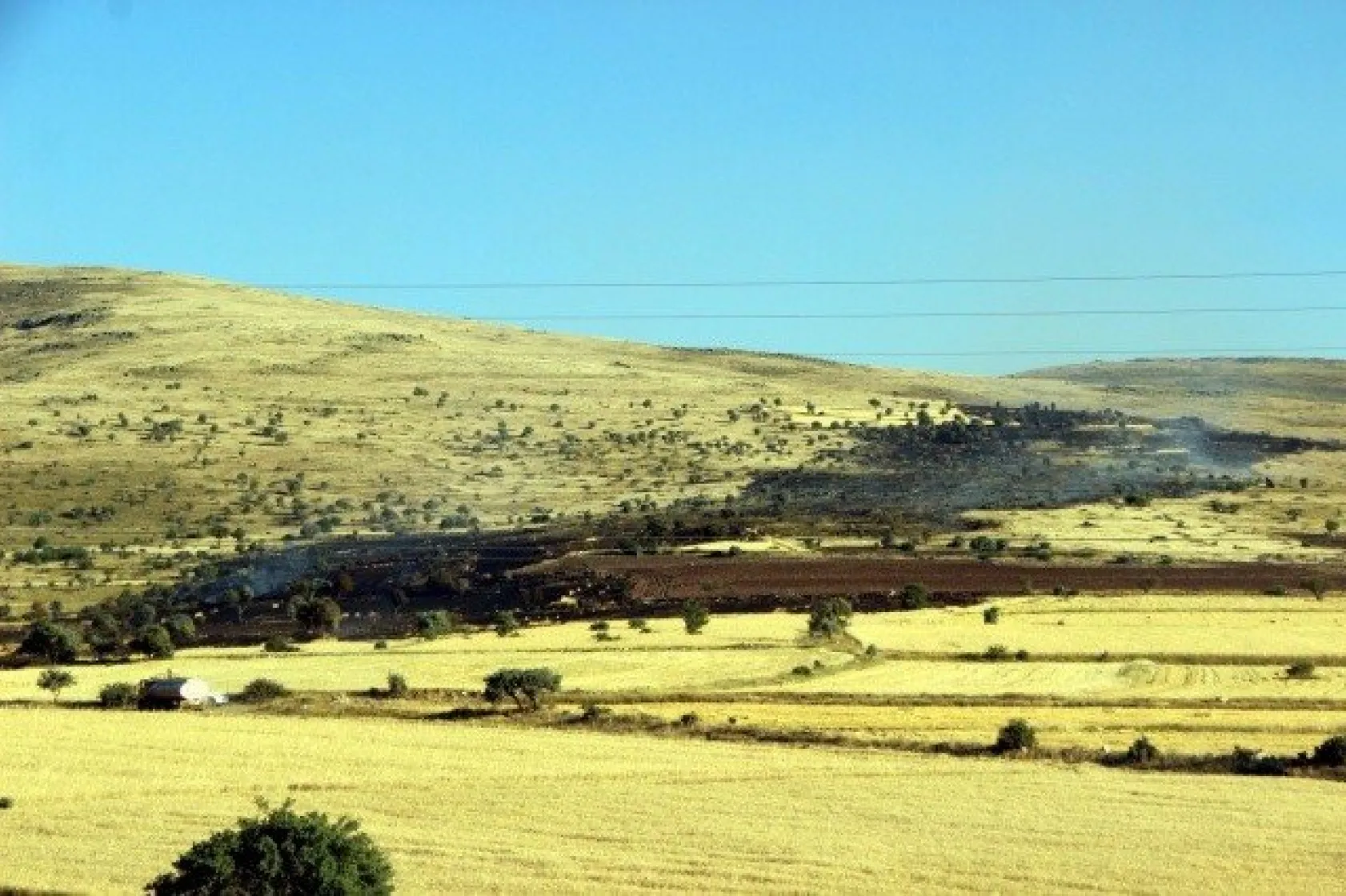 Tarla yangınında çiftçilerin 2 yıllık emeği kül oldu