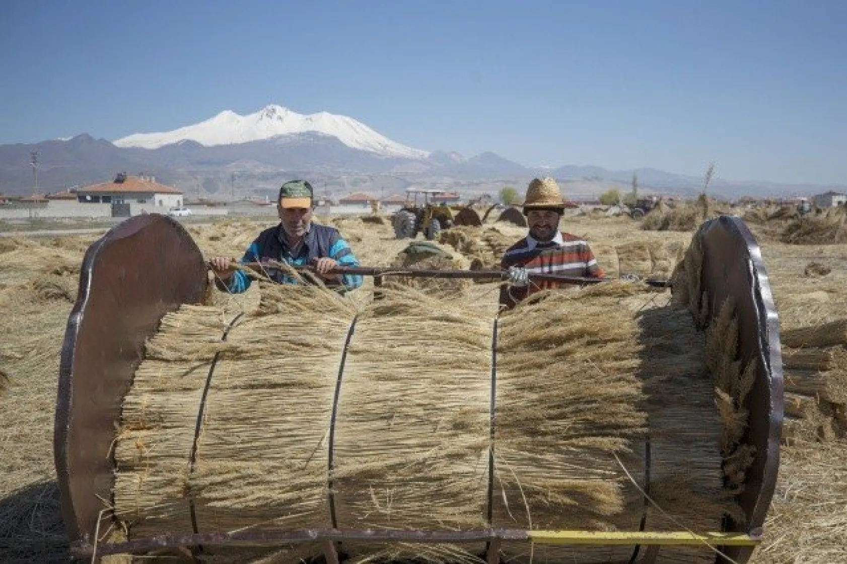 Sultansazlığı kamışları Avrupa'ya gönderiliyor