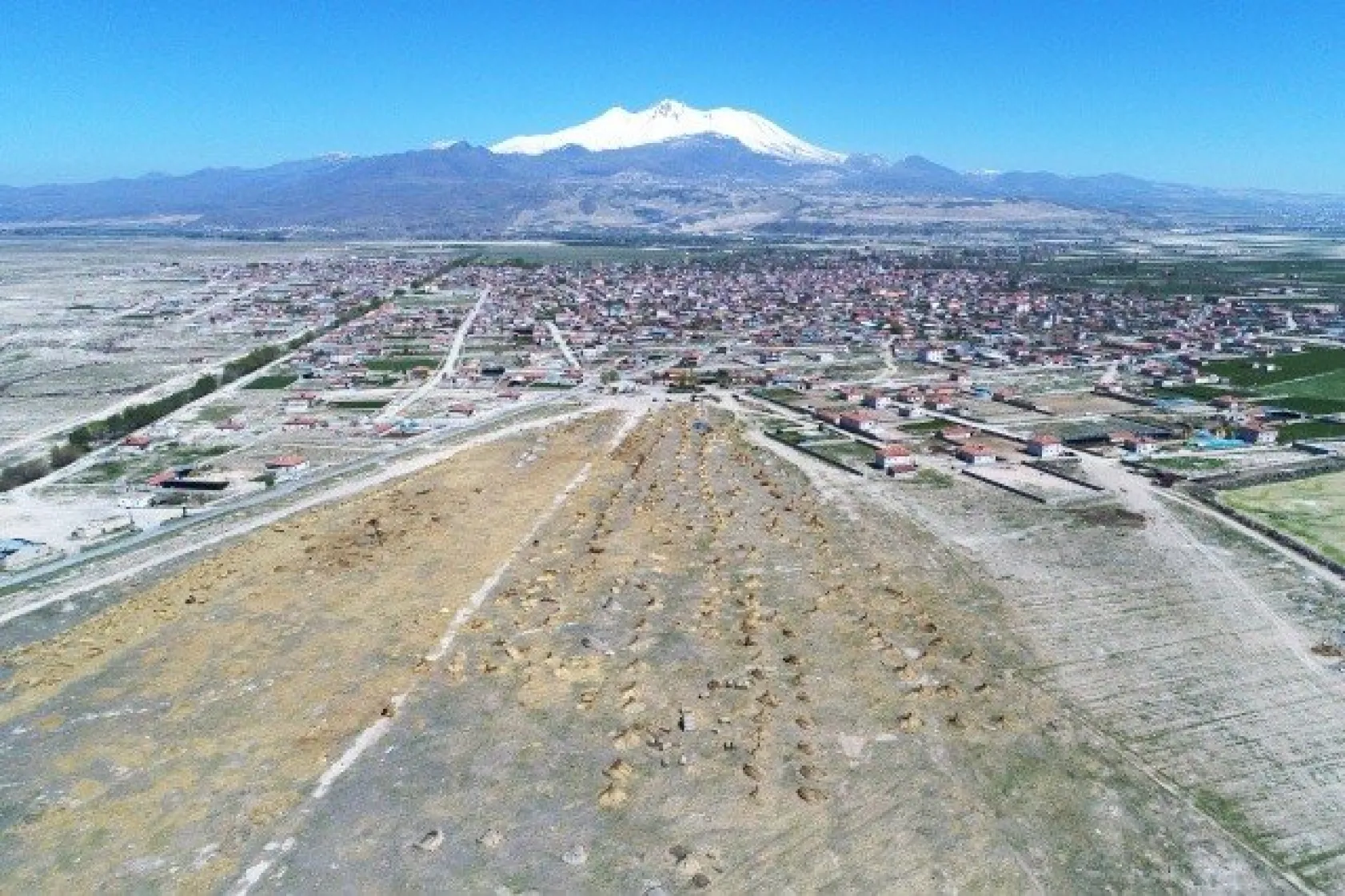 Sultansazlığı kamışları Avrupa'ya gönderiliyor