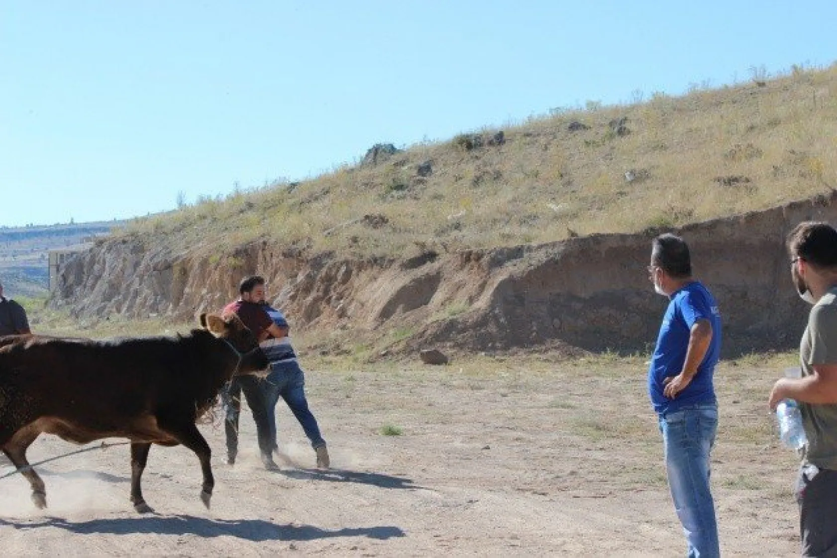 &quotGel kurban olduğum"