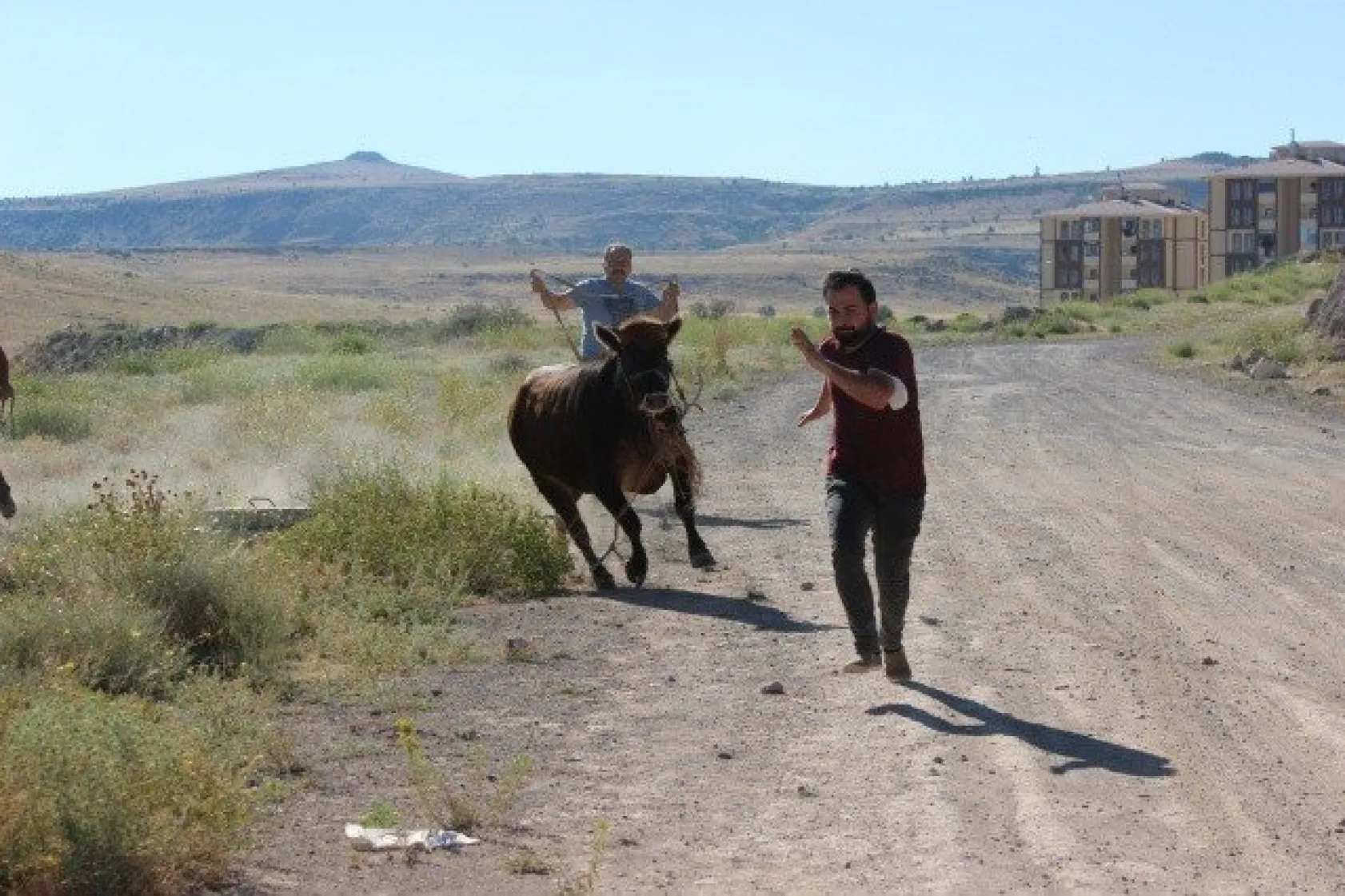 &quotGel kurban olduğum"