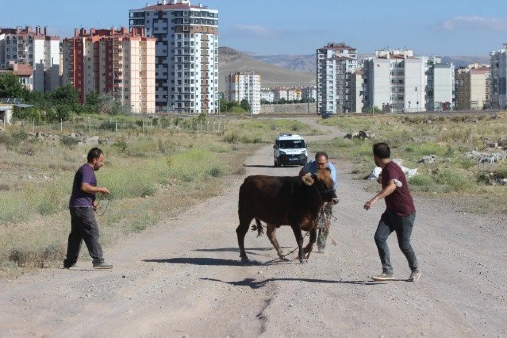 &quotGel kurban olduğum"