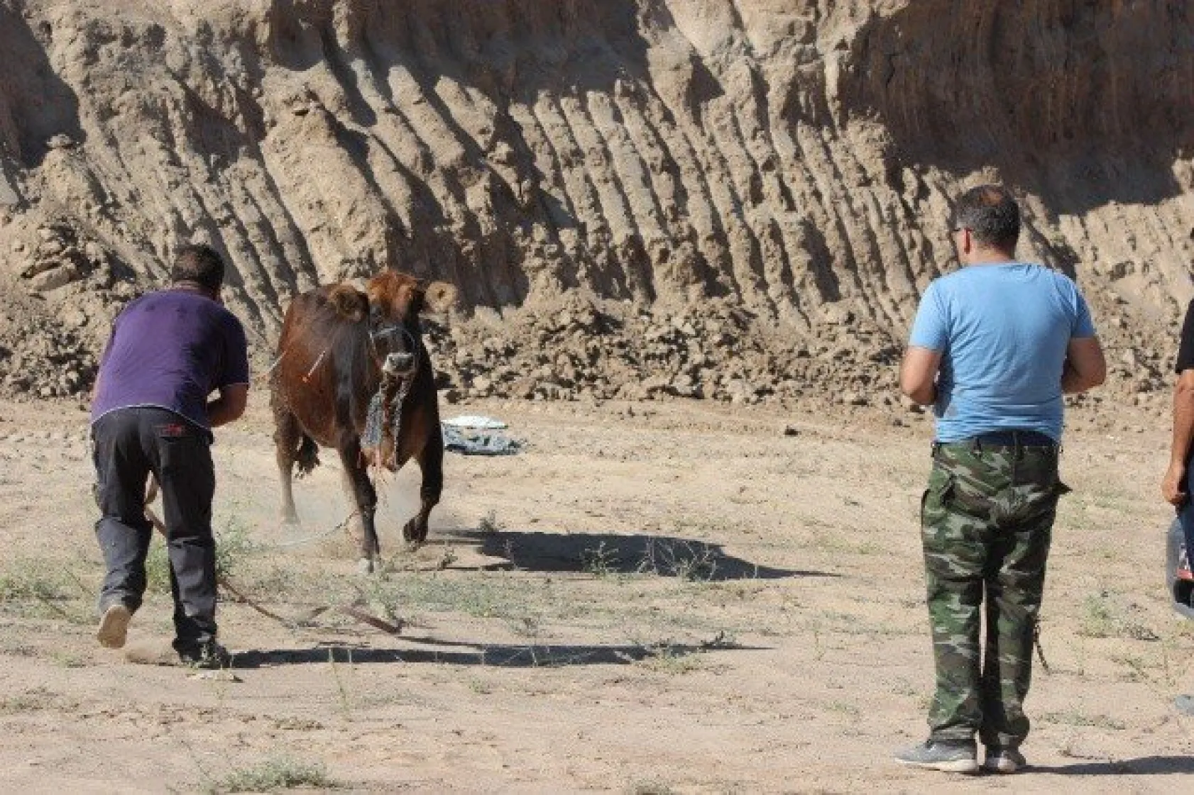 &quotGel kurban olduğum"