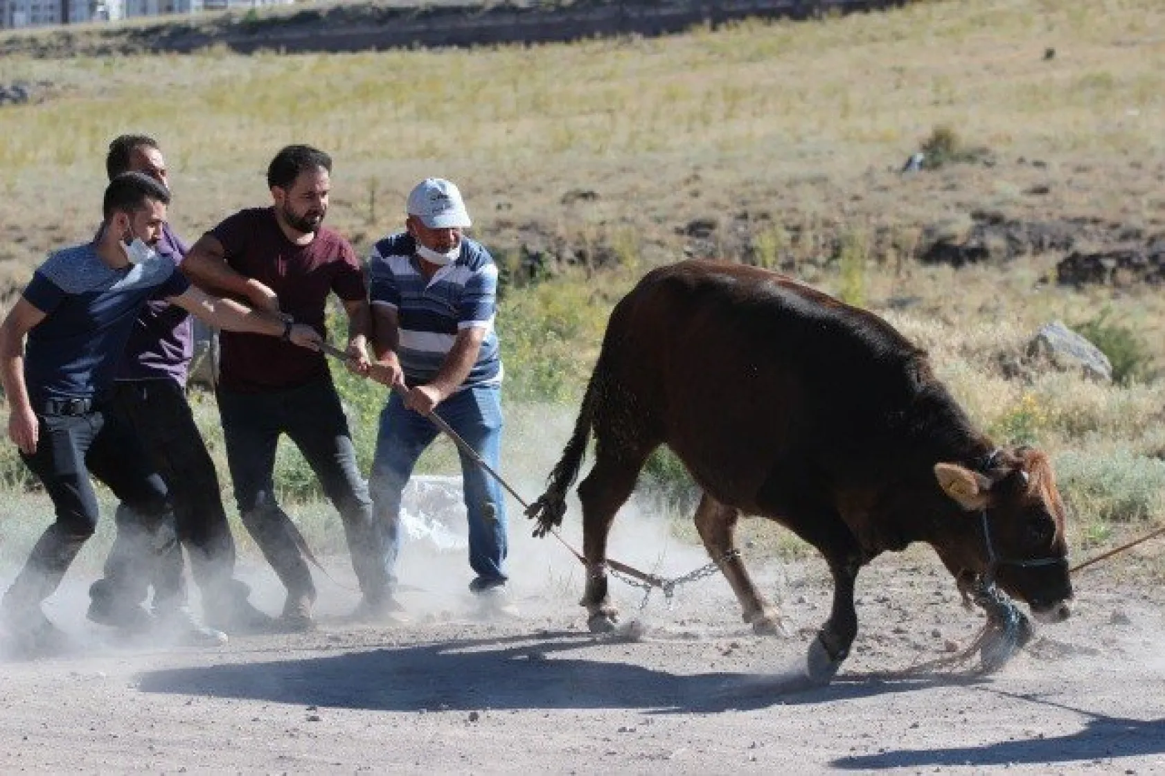 &quotGel kurban olduğum"