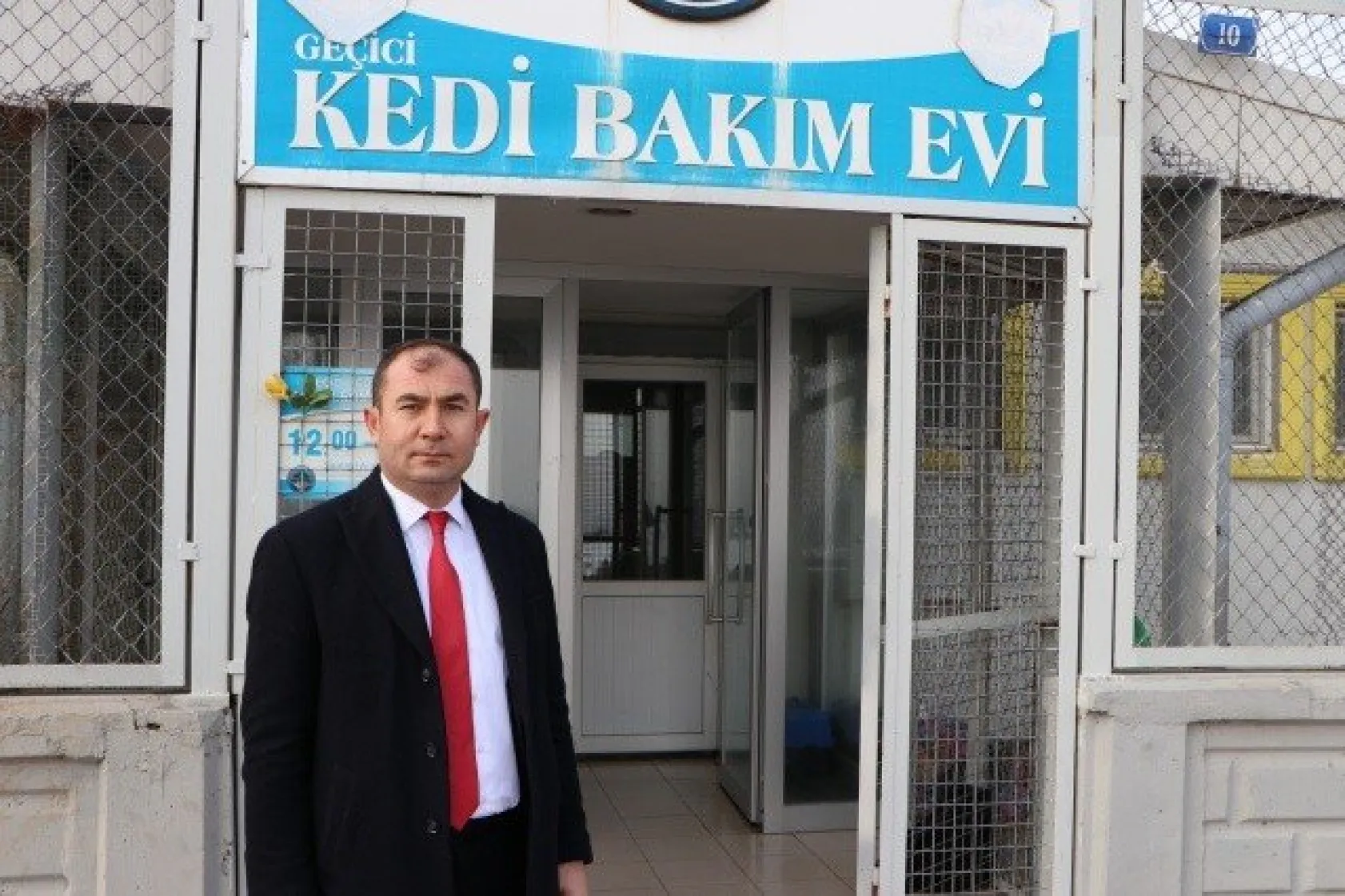 Sokak kedilerine 5 yıldızlı otel konforunda bakım