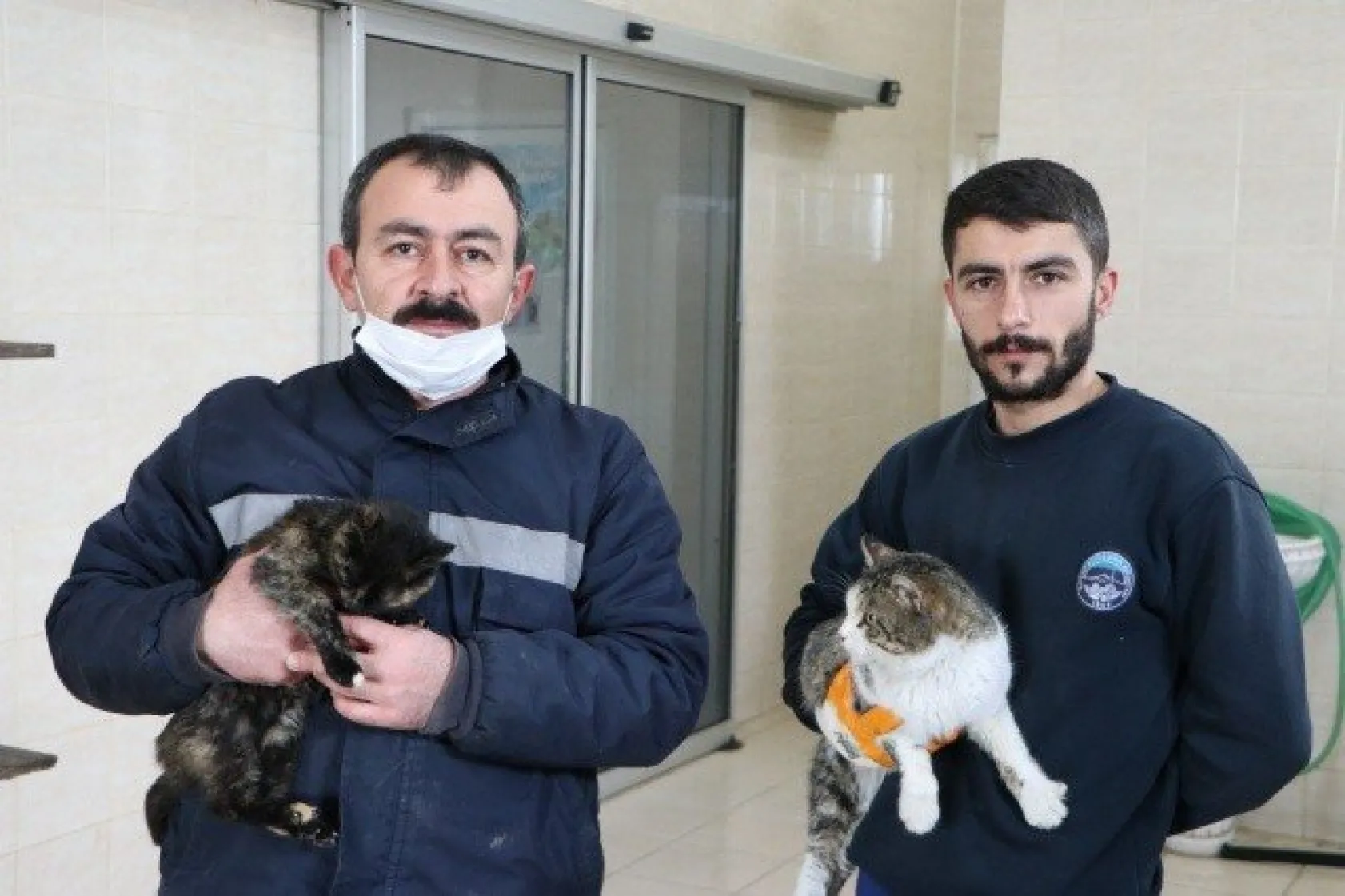 Sokak kedilerine 5 yıldızlı otel konforunda bakım