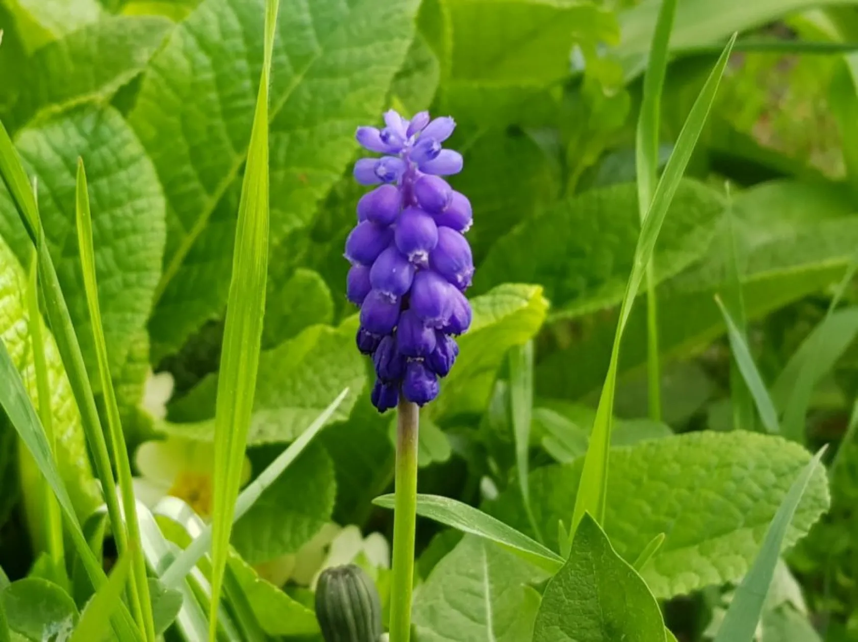 Baharın güzellikleri