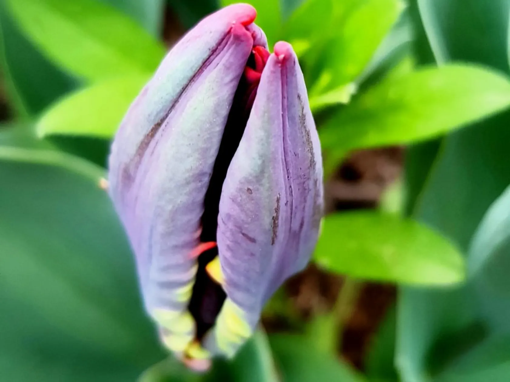 Baharın güzellikleri