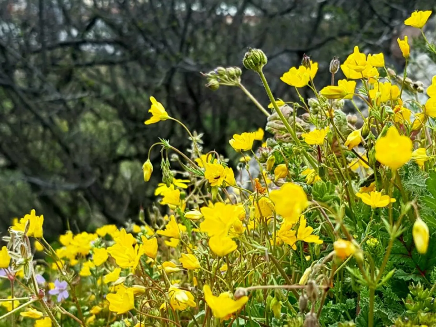 Baharın güzellikleri