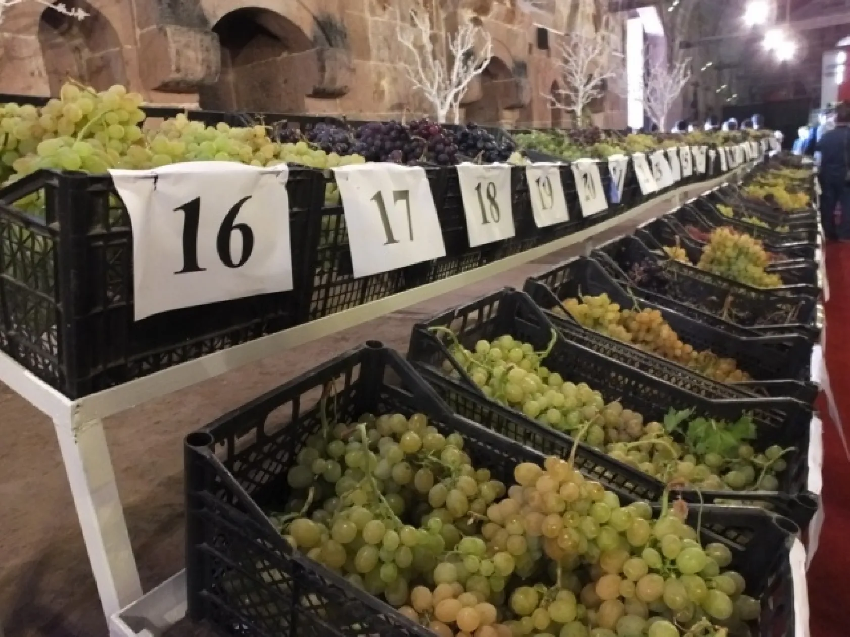 TARİHİ KERVANSARAY'DA ÜZÜM FESTİVALİ