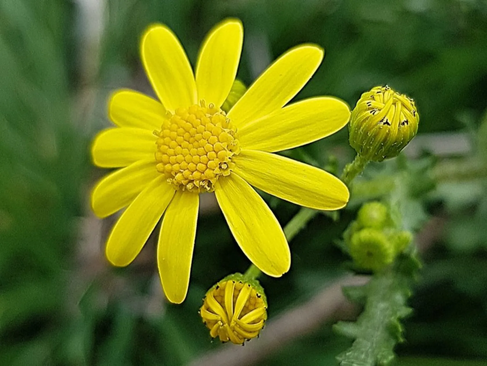 Baharın güzellikleri