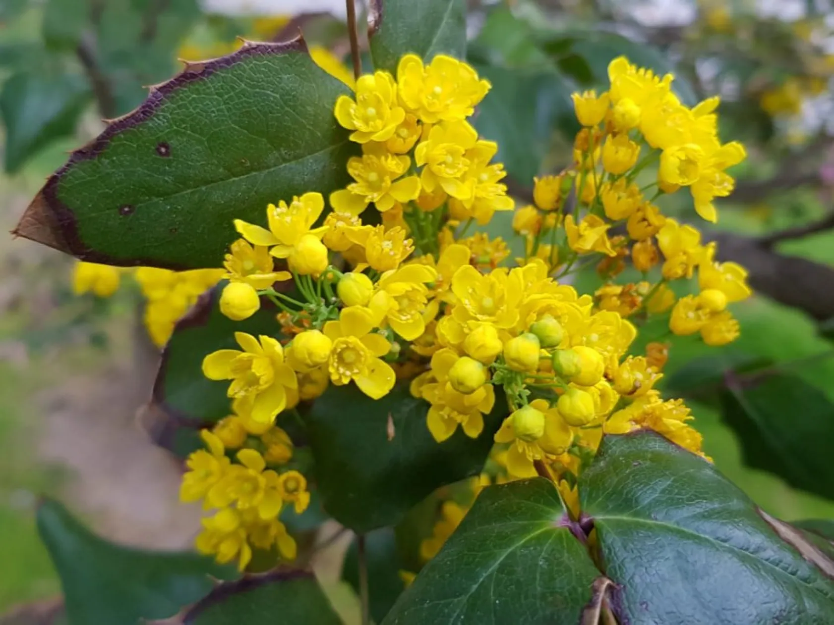 Baharın güzellikleri