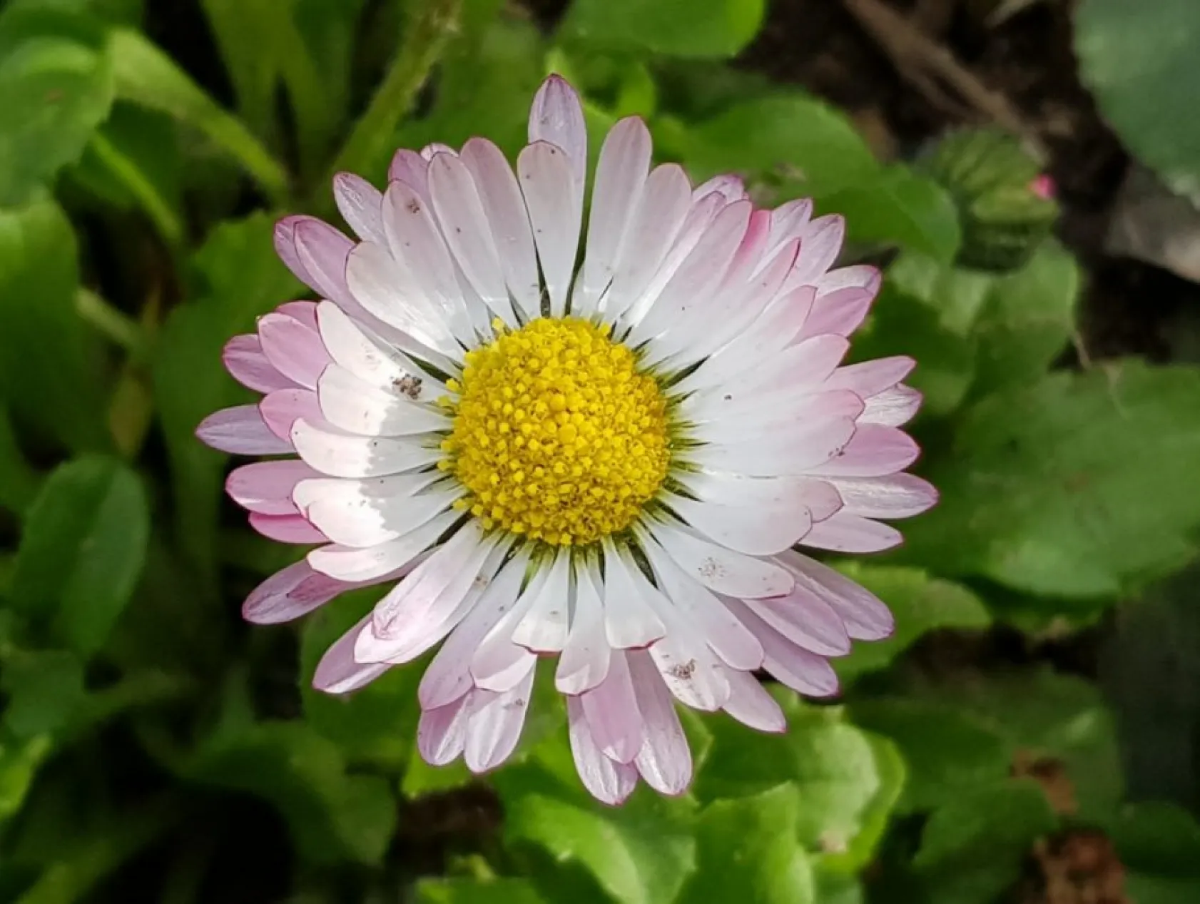 Baharın güzellikleri