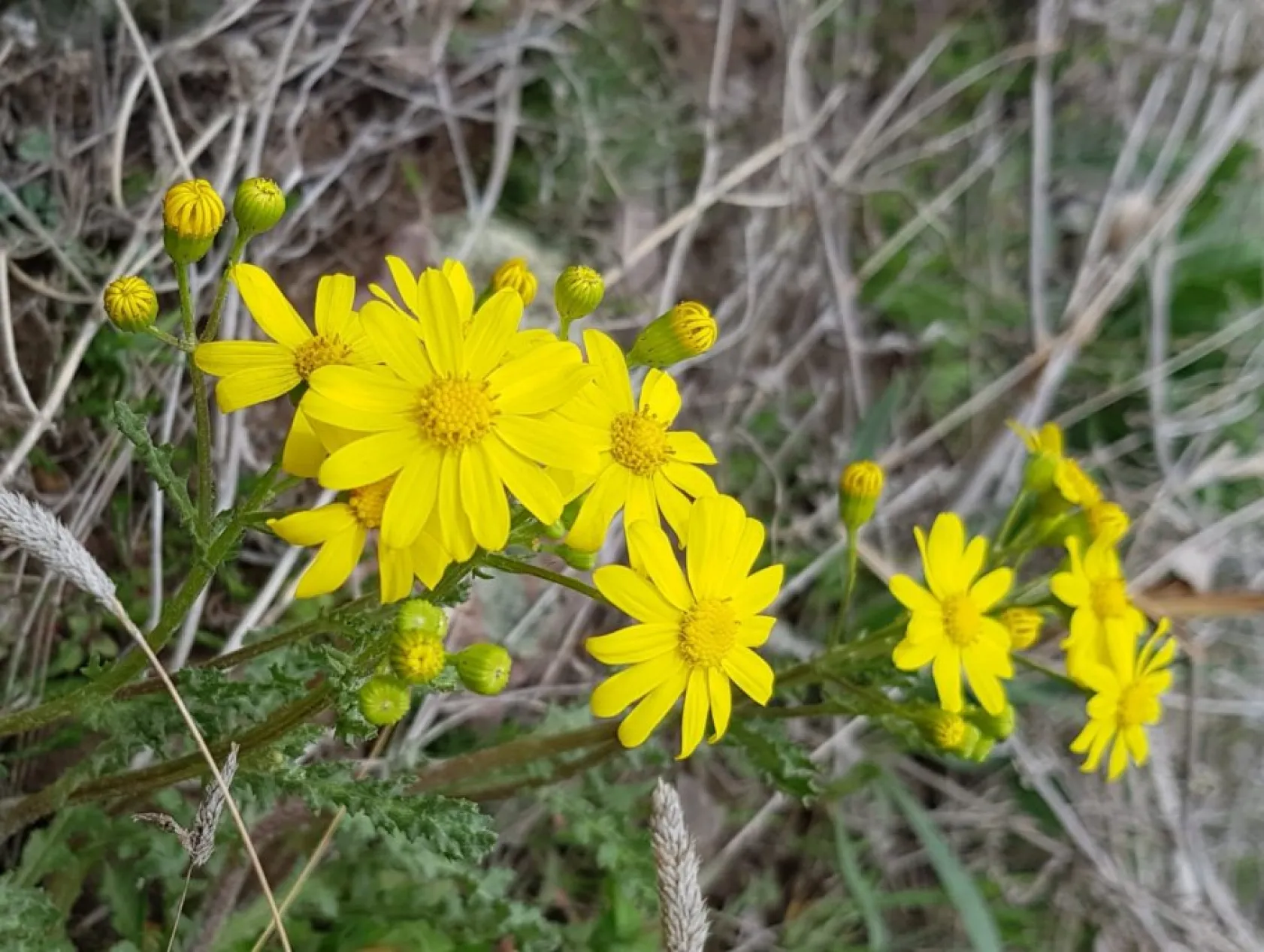 Baharın güzellikleri