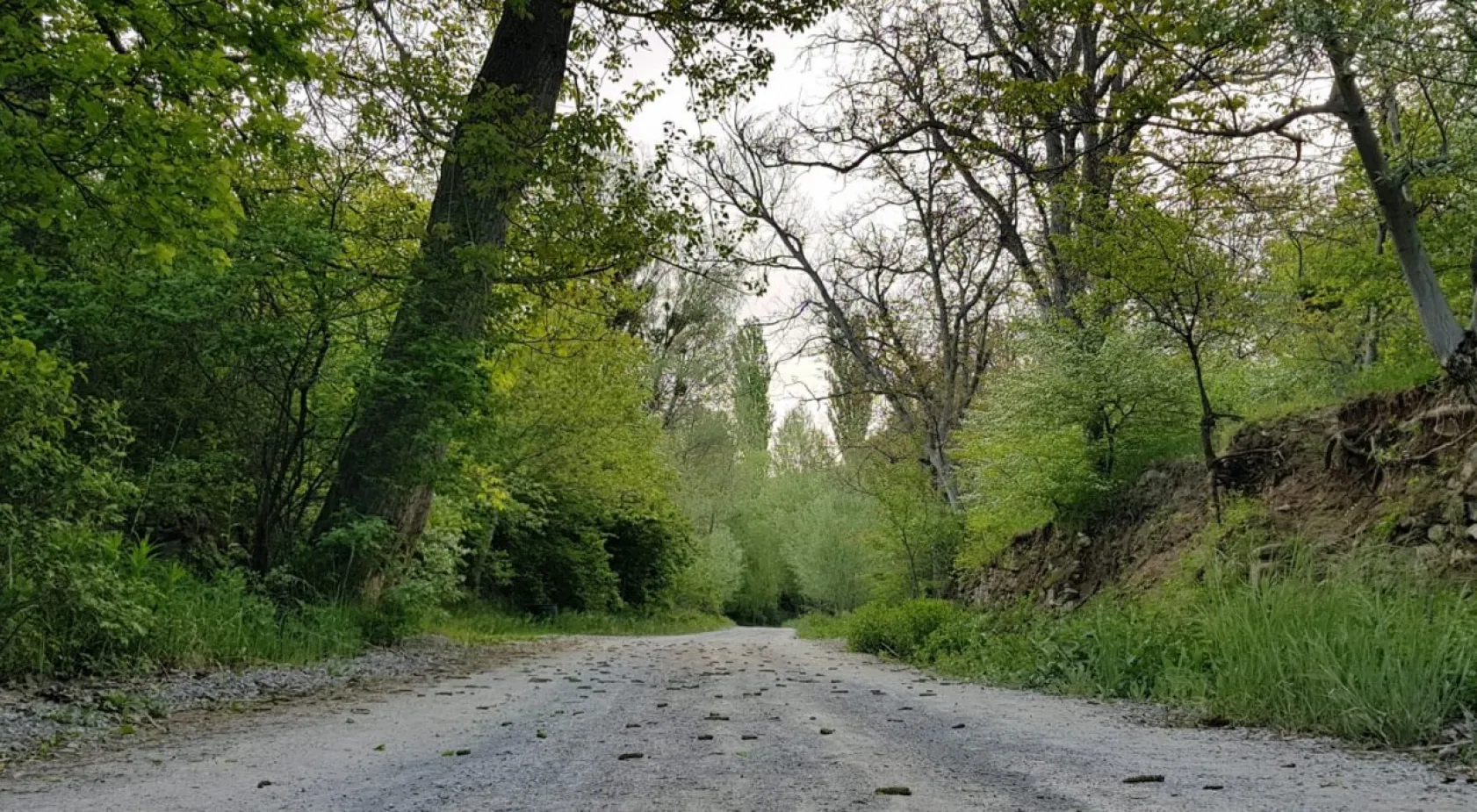 Koramaz Vadisi'nin doğal güzellikleri