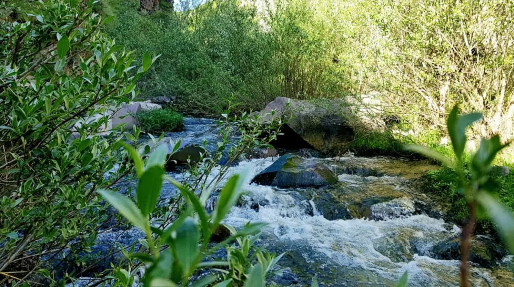 Kırlangıç Vadisi