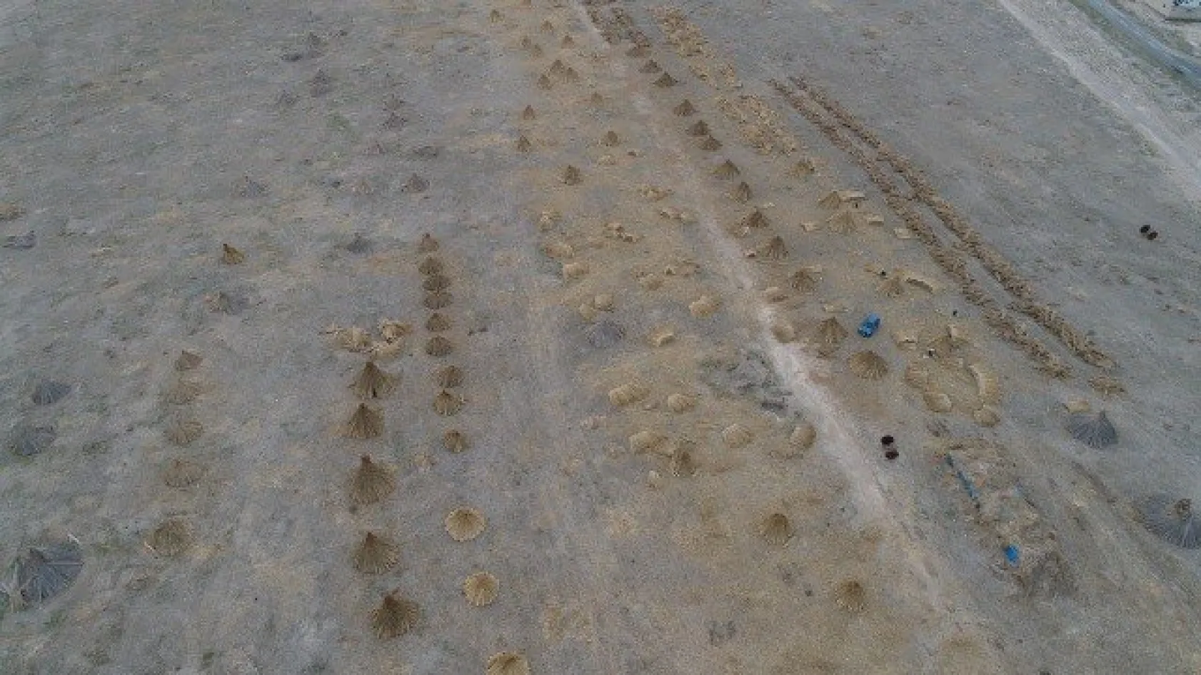 Sultan Sazlığı'ndaki Kamış Hasadına Kuraklık Darbesi