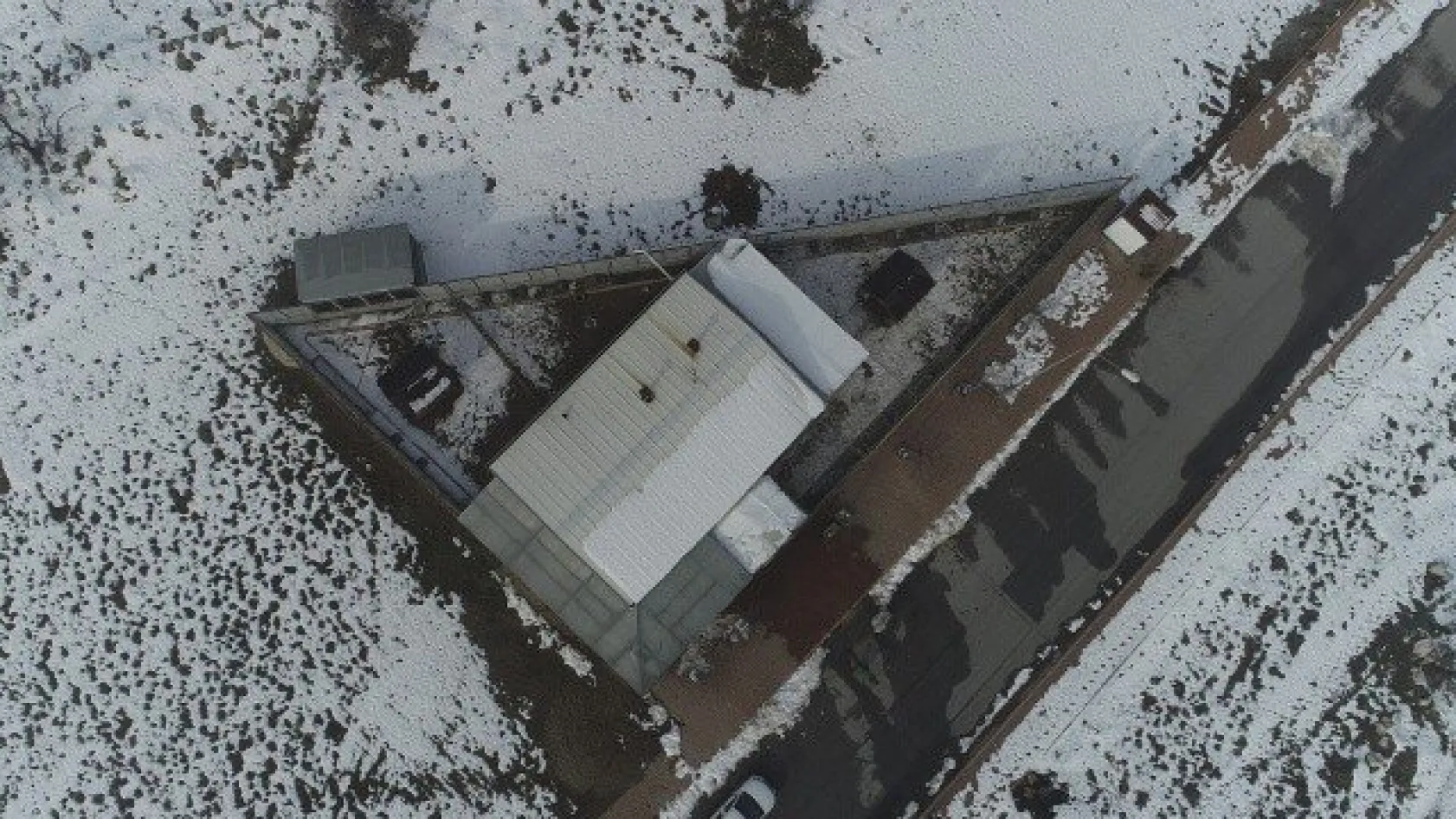 Sokak kedilerine 5 yıldızlı otel konforunda bakım