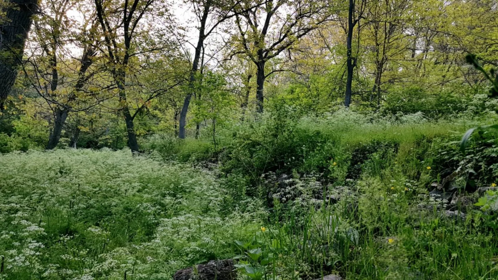 Koramaz Vadisi'nin doğal güzellikleri