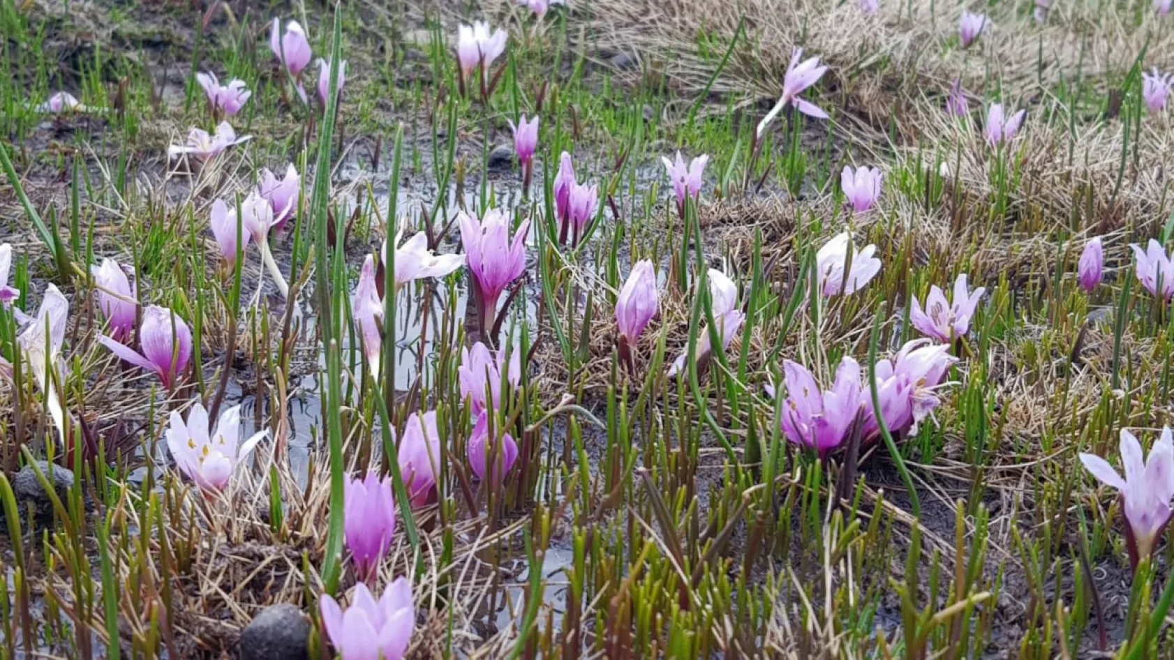 'Erciyes, her halinle güzelsin'