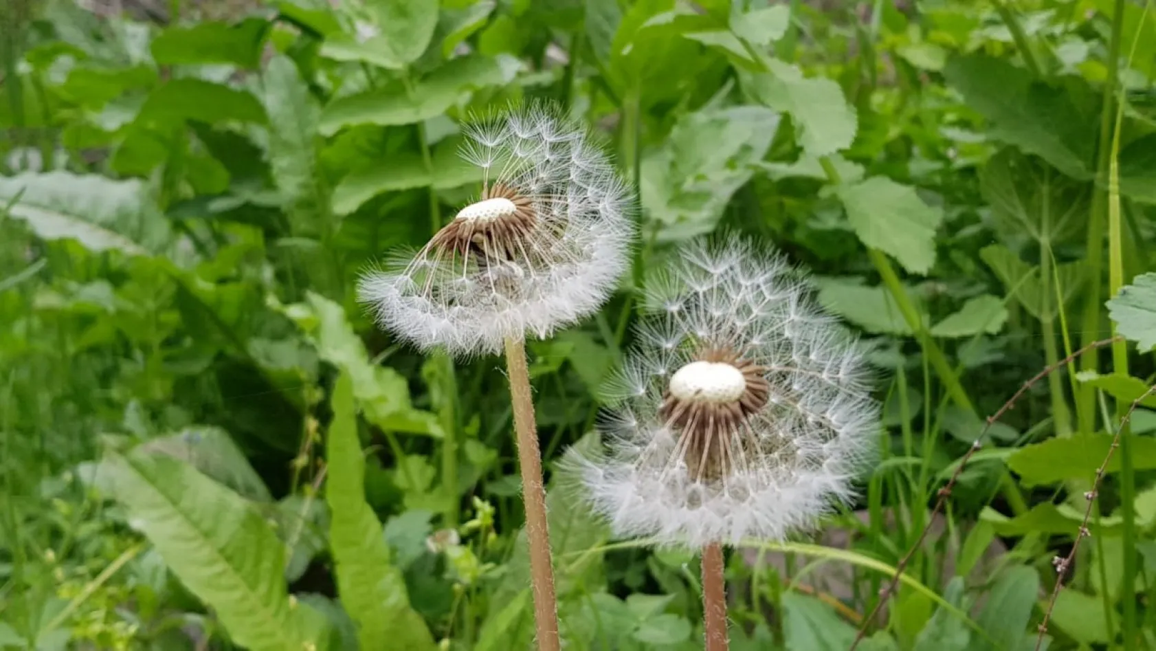 Koramaz Vadisi'nin doğal güzellikleri