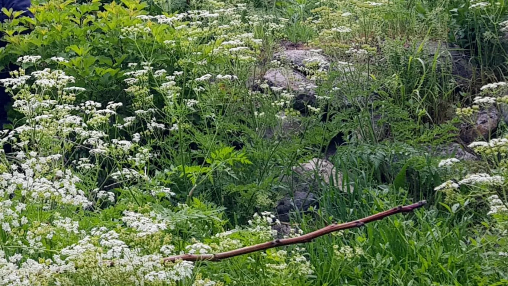 Koramaz Vadisi'nin doğal güzellikleri