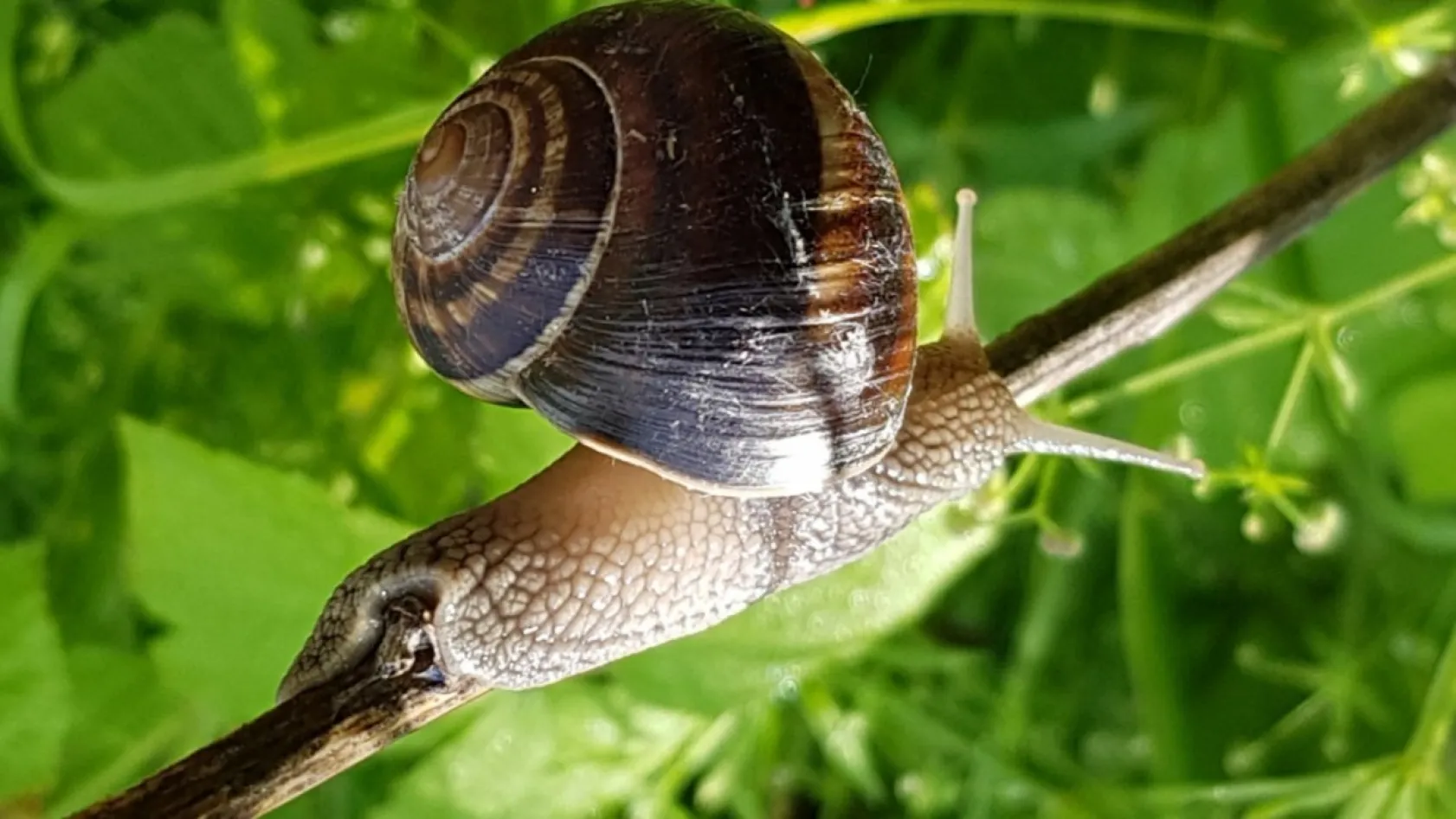 Koramaz Vadisi'nin doğal güzellikleri