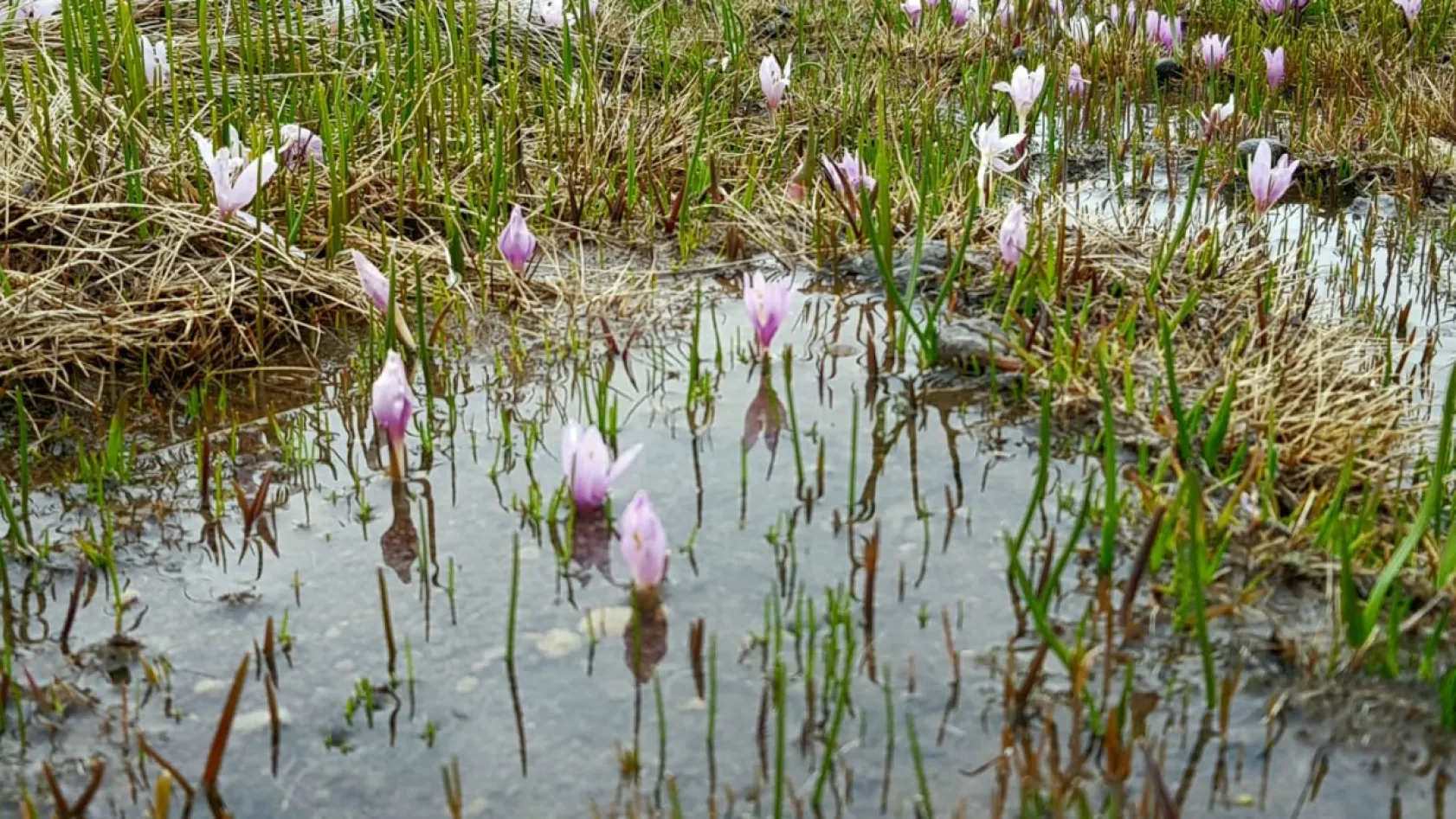 'Erciyes, her halinle güzelsin'