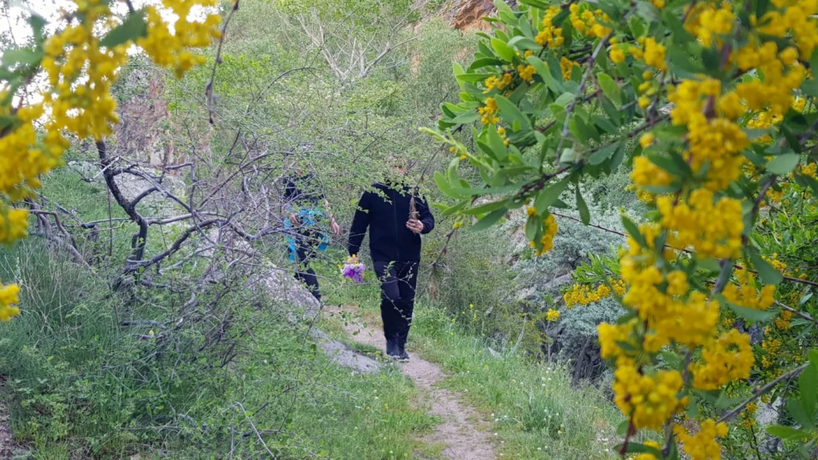 Kırlangıç Vadisi