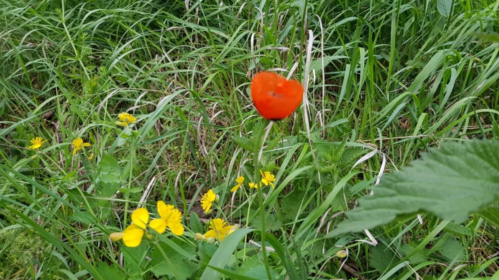 Koramaz Vadisi'nin doğal güzellikleri