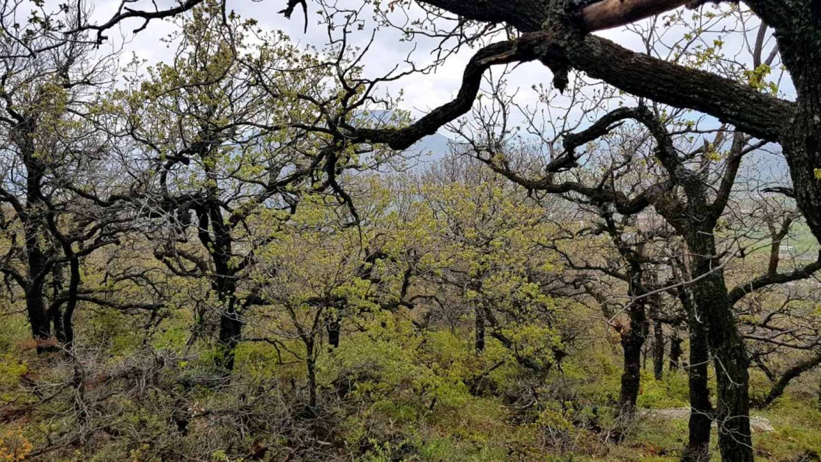 Doğa yürüyüşçüsü gözüyle Kayseri