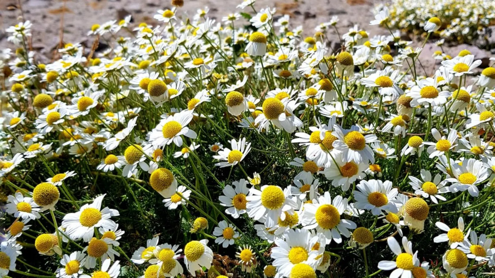 Doğa yürüyüşçüsü gözüyle Kayseri