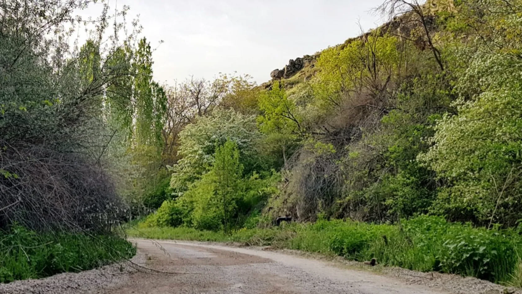 Koramaz Vadisi'nin doğal güzellikleri