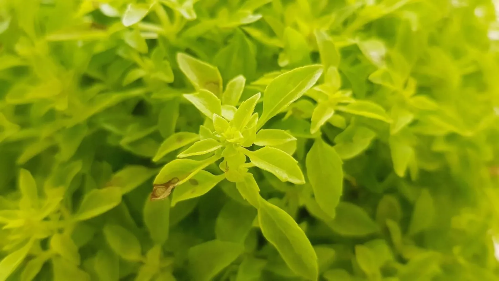 Doğa yürüyüşçüsü gözüyle Kayseri