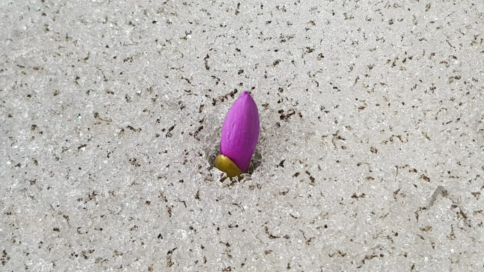 'Erciyes, her halinle güzelsin'